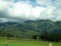 New_Zealand (431)